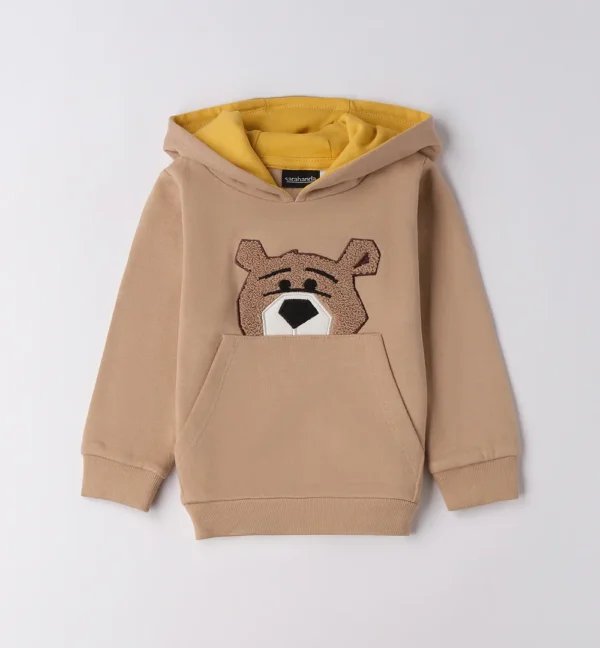 Sudadera niño con capucha
